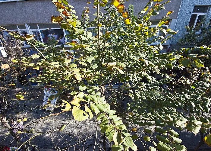 Cumbali 27 Appartement *